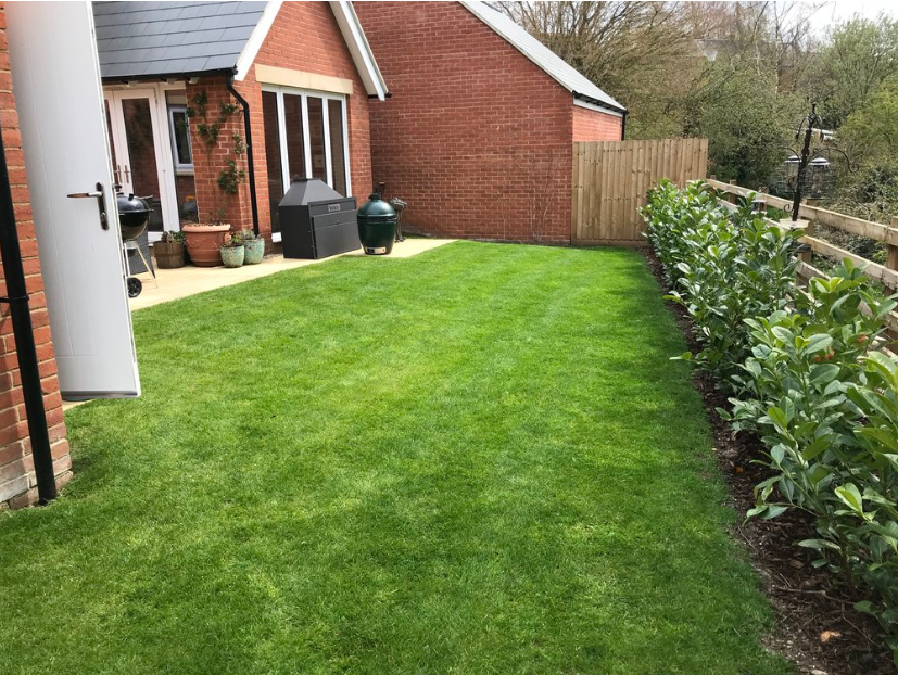Crisply mowed side yard along a brick home