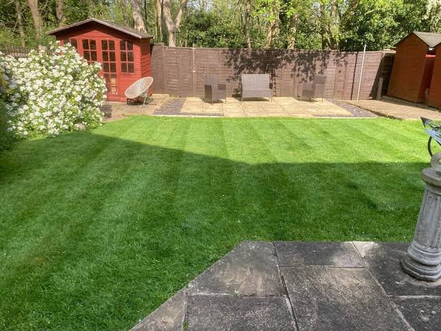 Freshly striped backyard lawn